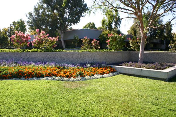 Commercial Landscape Service in Rotonda West