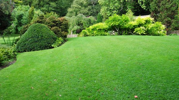 Commercial Landscape Design in Rotonda West