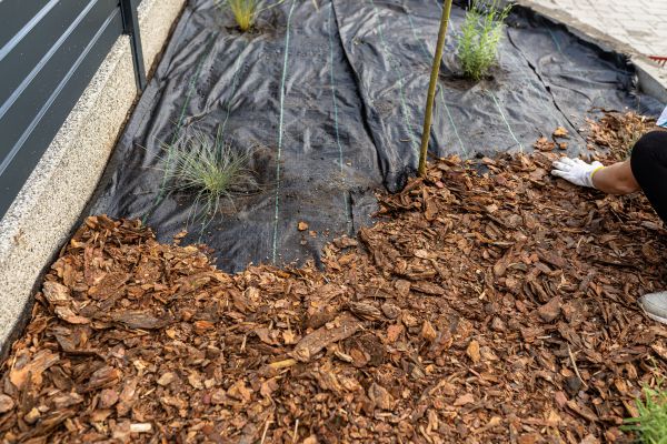 Pine Bark Spreading in Rotonda West