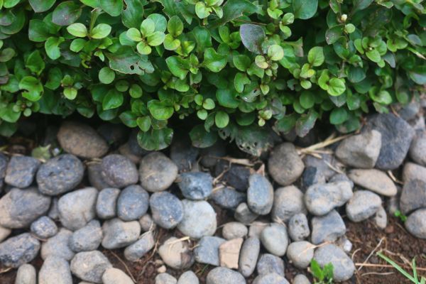 River Stone Installation in Rotonda West