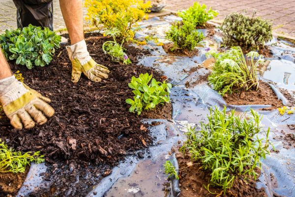 Mulch Fabric Installation in Rotonda West