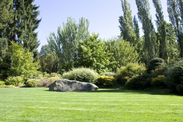 Yard Enlargement in Rotonda West