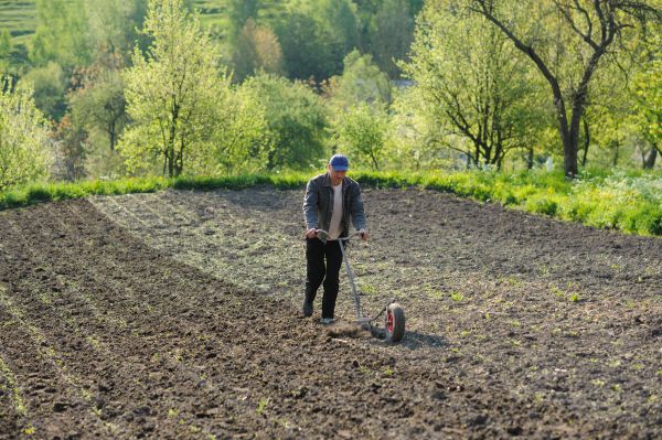 Plant Bed Weeding in Rotonda West