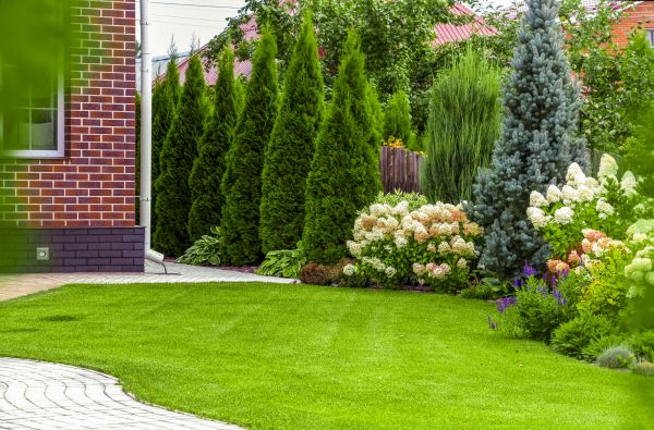 Spring Landscaping in Rotonda West