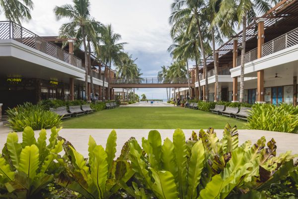 Commercial Lawn Renovation in Rotonda West