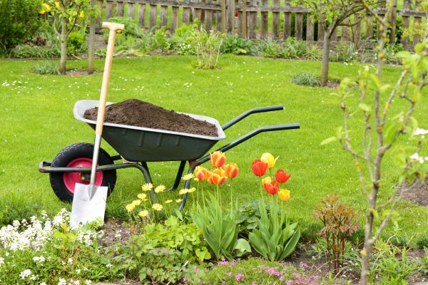 Spring Yard Renovation in Rotonda West