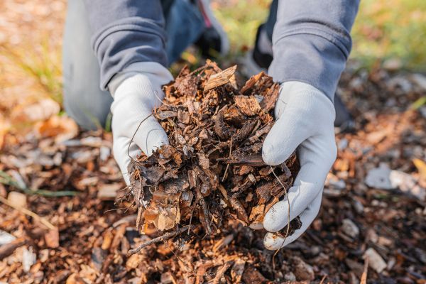 Shredded Mulch Installation in Rotonda West