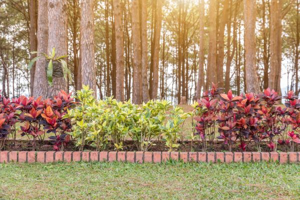 Small Garden Landscaping in Rotonda West