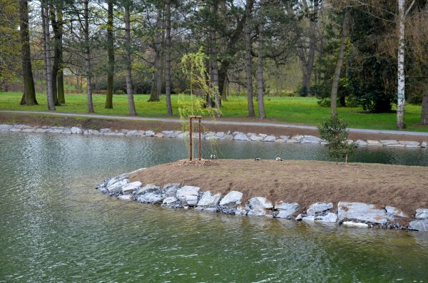 Pond Landscaping Service in Rotonda West