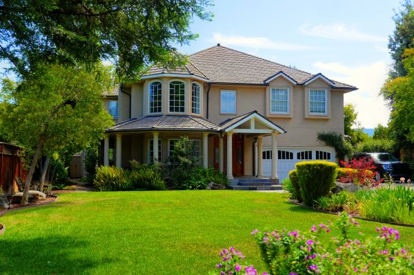 Large Yard Landscaping in Rotonda West