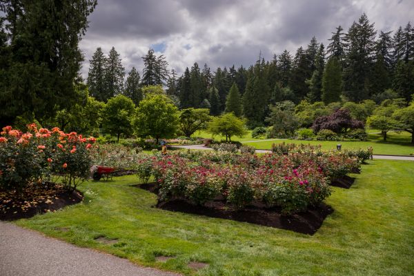 Flower Garden Landscaping in Rotonda West