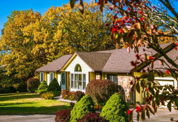 Ranch Landscaping in Rotonda West