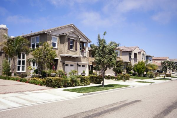 Neighborhood Landscaping in Rotonda West