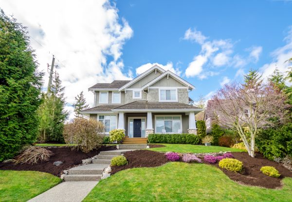 Landscaping Replacement in Rotonda West