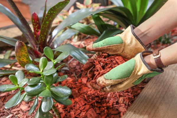 Cedar Mulch Installation in Rotonda West