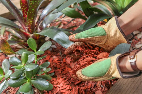 Residential Mulching in Rotonda West