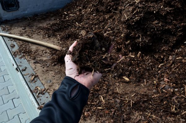 Condo Mulching in Rotonda West