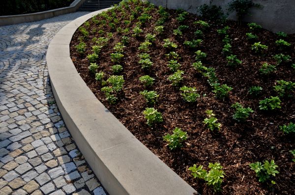 Commercial Mulching in Rotonda West