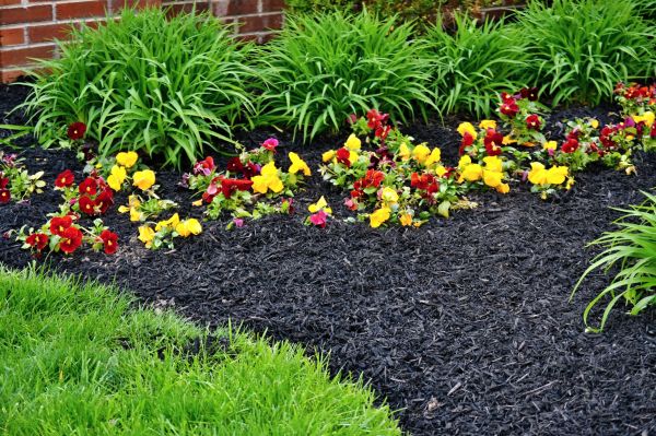Apartment Mulching in Rotonda West