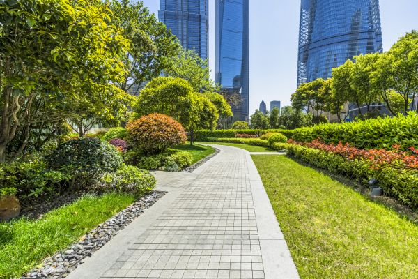 Commercial Landscaping in Rotonda West